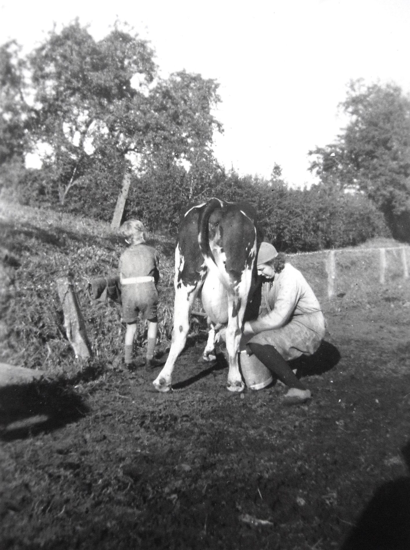 Foto: Jan P. Koers, Scheemda. 