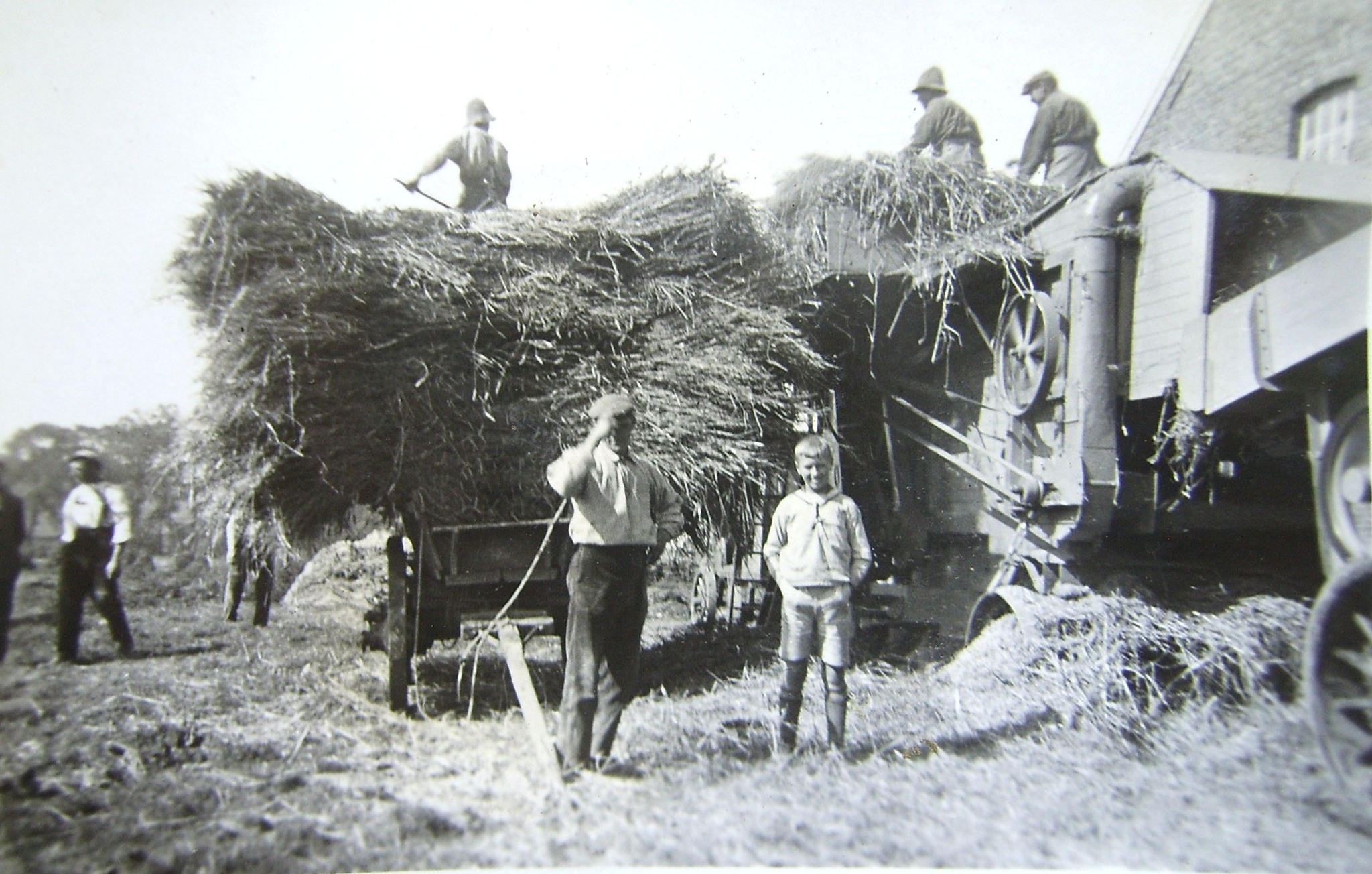 Foto: Jan P. Koers, Scheemda. 