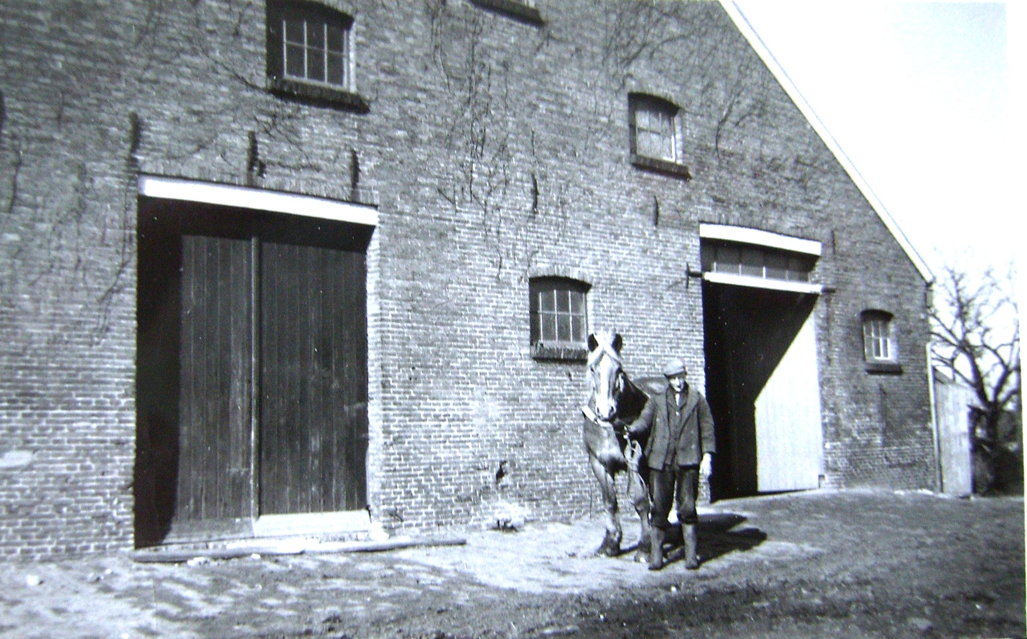 Foto: Jan P. Koers, Scheemda. 