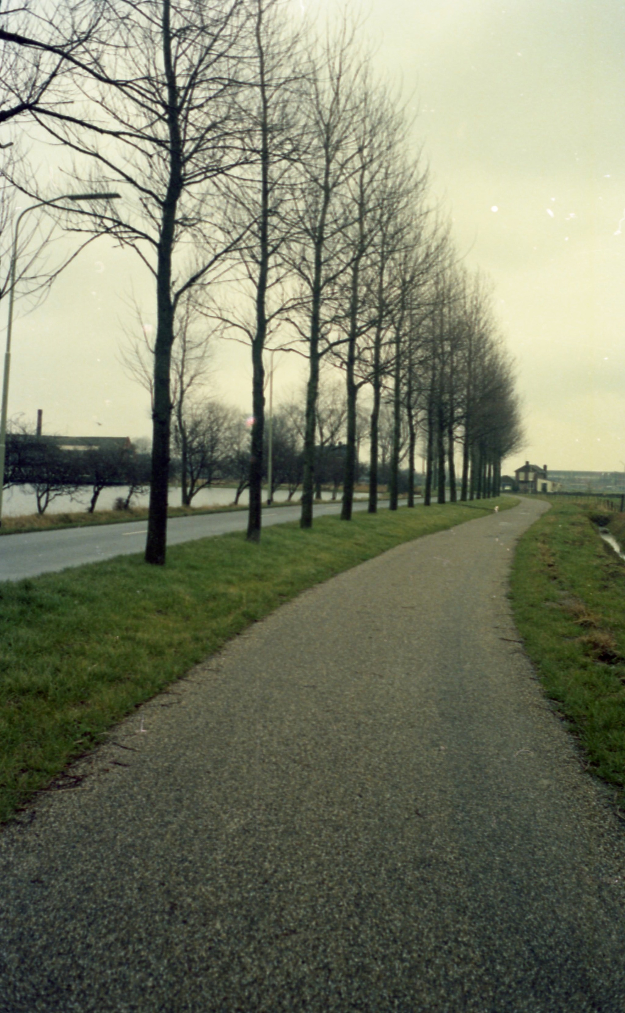 Fietspad Dijkhuizenweg in de richting Appingedam. Links het terrein van de ijsbaan (iesvlakte).