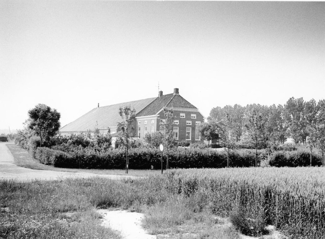 Identificatienummer NL-GnGRA_818_14678. Geografische aanduiding Delfzijl, Termunten, Baamsum. Documenttype Foto. Titel/opschrift Termunten: Baamsum 3: boerderij 't Grijze Monnikenklooster. Eigenaar / bewoner J. van 't Westeinde. Vervaardiger: Douma, M.A. Datum: 1976. Bron 818_14678.jpg Uit de collectie van Groninger Archieven.