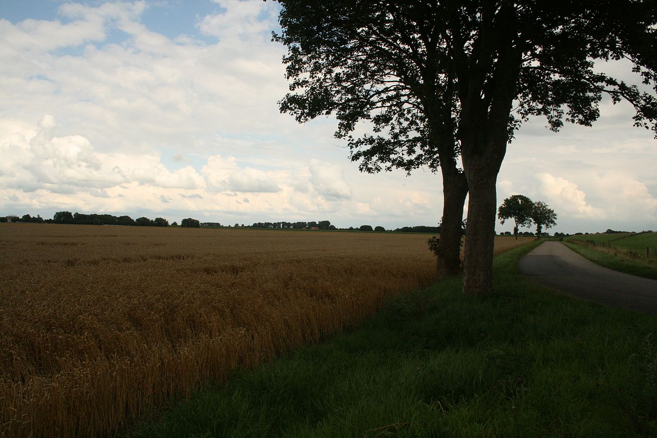 Oostelijke Reiderwolder polder. Het betreft de weg naar naar Nieuwe Statenzijl. Rechts ligt de dijkcoupure (niet zichtbaar op de foto als boven) naar de Stadspolder. Bron: Wikimedia Commons. Auteur: JacoNed, 8 augustus 2010. Licentie: Creative Commons Attribution-Share Alike 3.0 Unported license.