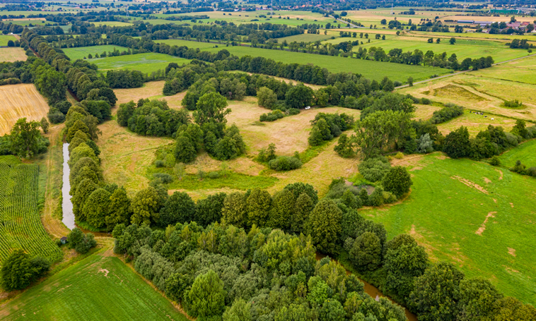 Resten van de Dijlerschans. Foto: 5 augustus 2019, door Matthias Süssen. Licentie: Creative Commons Attribution-Share Alike 4.0 International license