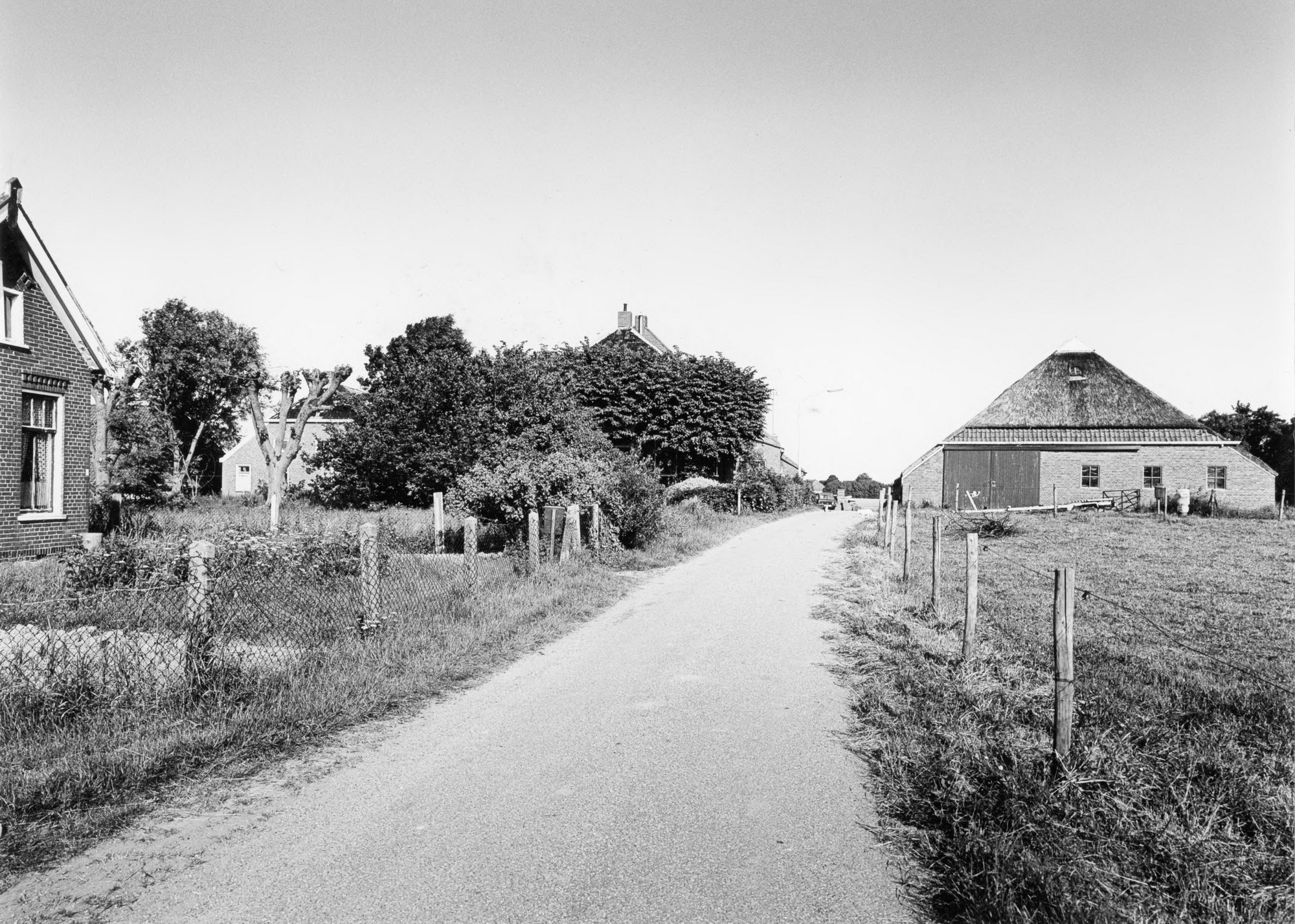 Amsweer : straatbeeld vanaf wierde richting oosten. Met de voorzijde van de Arent Fokkensheerd achter de linden